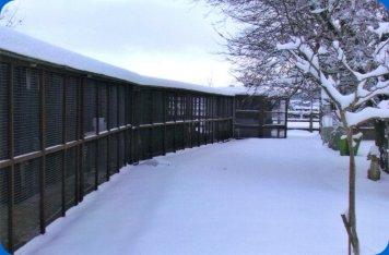 Bridge Boarding Kennel