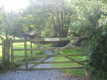Country Hill Boarding Kennel