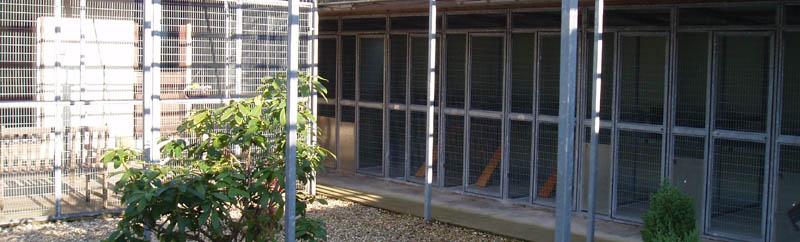 Courtyard Boarding Kennel