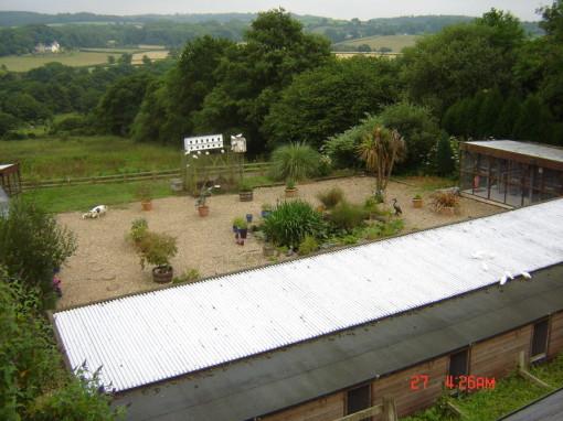 Milestone Boarding Kennel