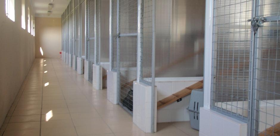 Joppa Farm Boarding Kennel