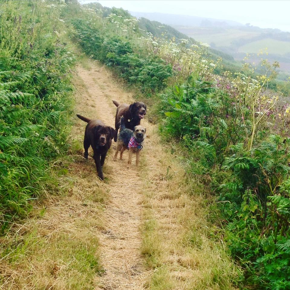 Photo of PenzancePetCare