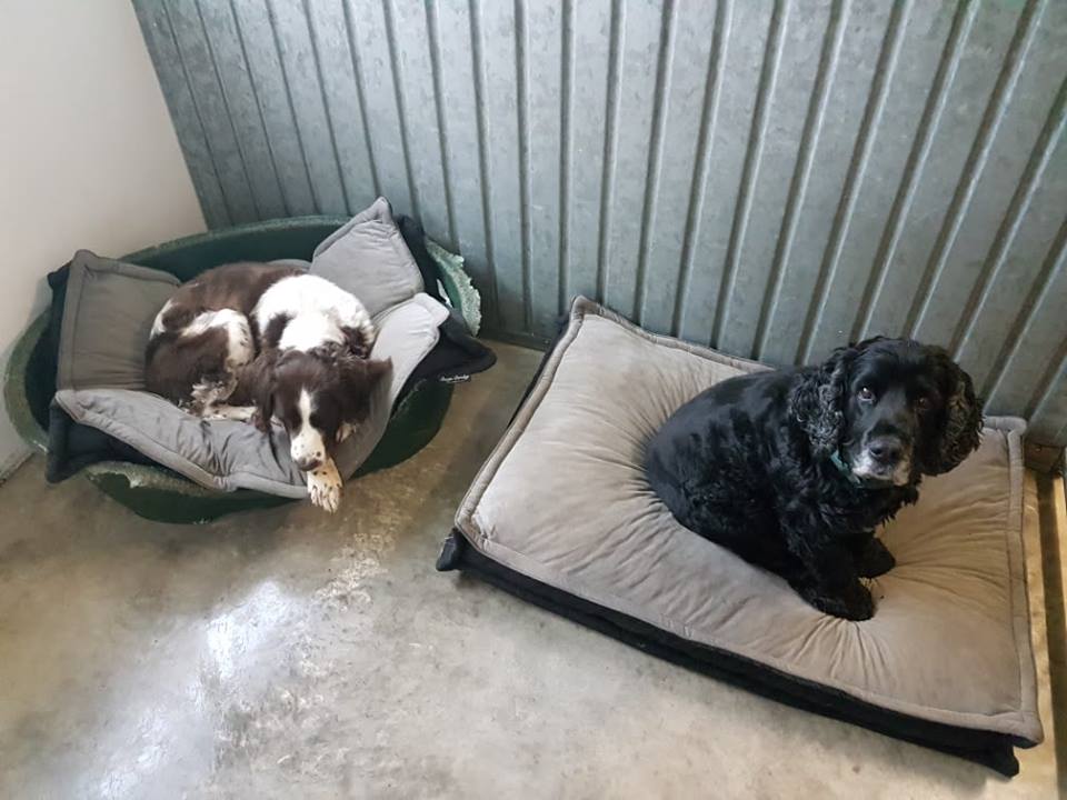 Crestlands Boarding Kennel