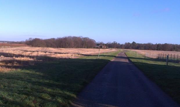 Home Dog Boarding Bedfordshire Boarding Kennel