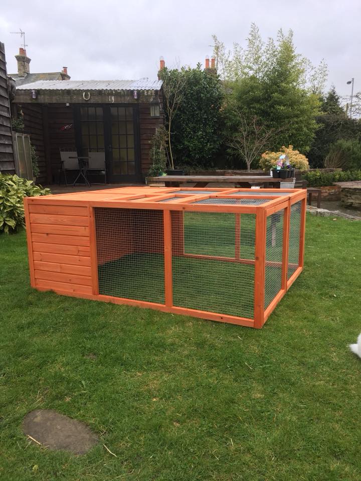 Bunny Holiday Village Boarding Kennel