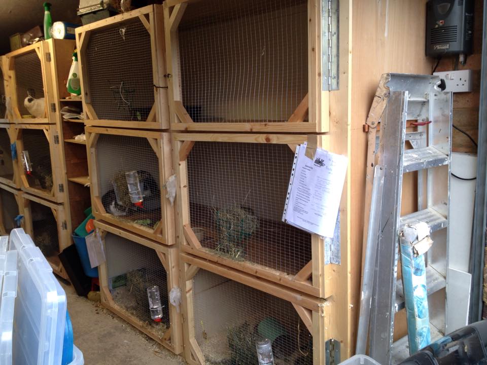 BedsforBucks Boarding Kennel
