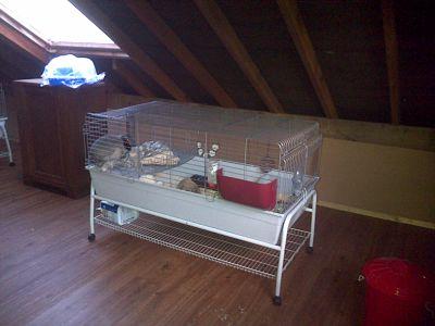 Etonbury Boarding Kennel