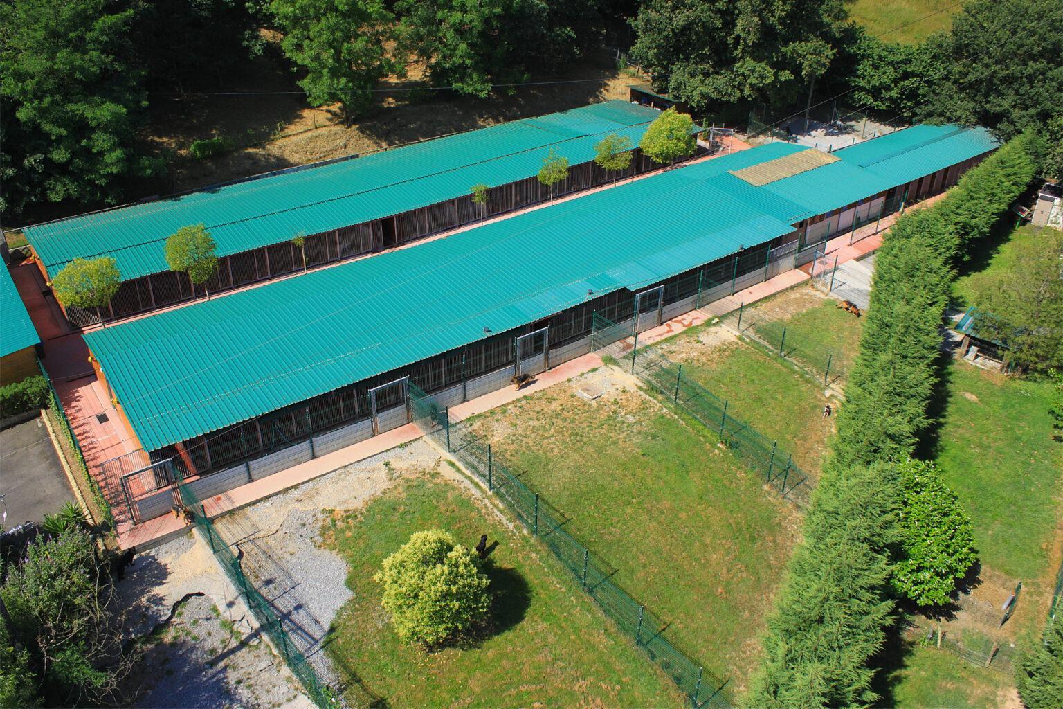 Residencia canina y felina Aiartza