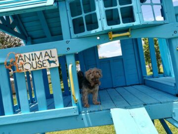 Hotel para perros Animal House
