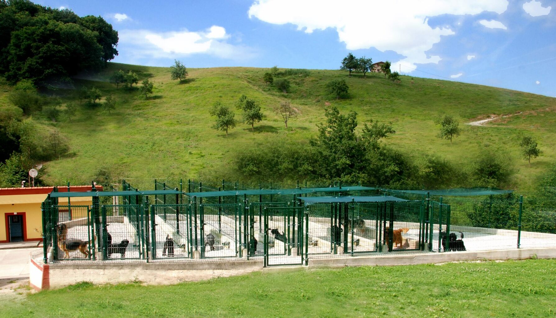 Residencia canina Besaya