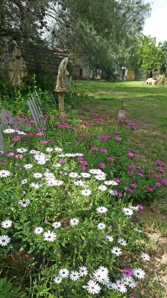Residencia canina y felina Camp de turia