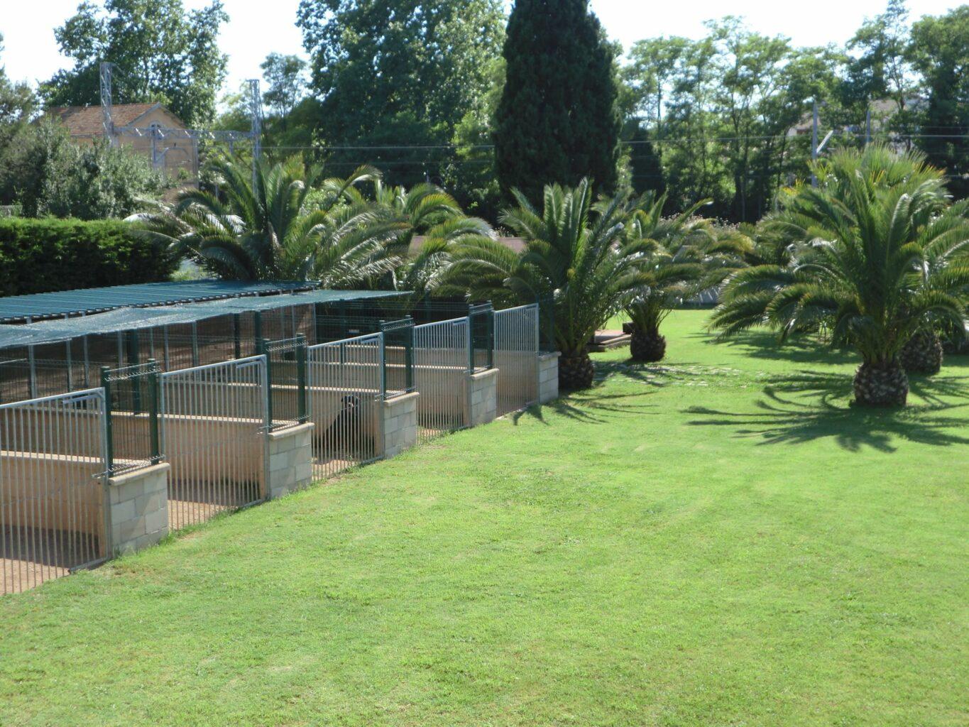 Residencia canina y felina De Brian