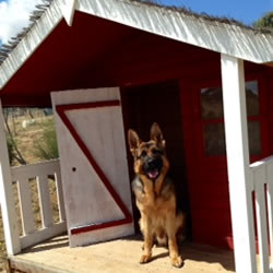 Residencia canina IPPÓN-CAN