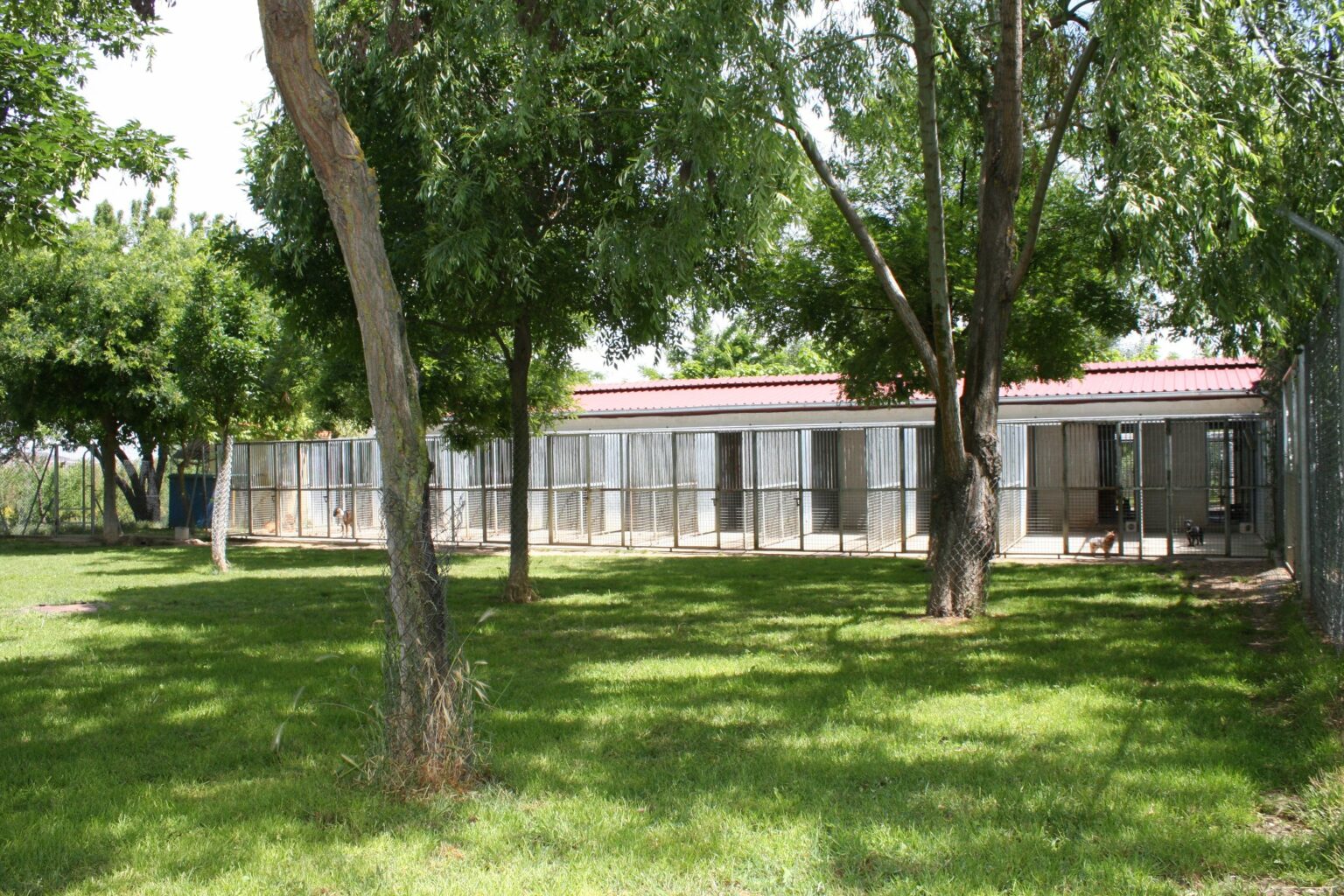 Residencia canina y felina Kabluna