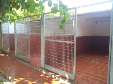 Residencia canina La Vila del gos