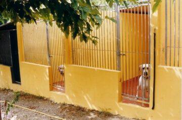 Residencia canina y felina Los Guardianes