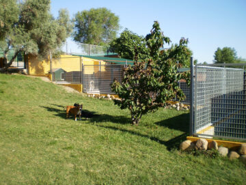 Residencia canina y felina Maikan Canino