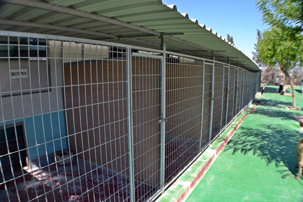 árabe Ausencia rodear Residencia canina Mascota Jardín en Molina de Segura