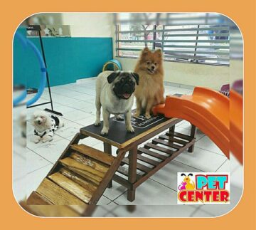 Hotel para perros Pet Center Sur