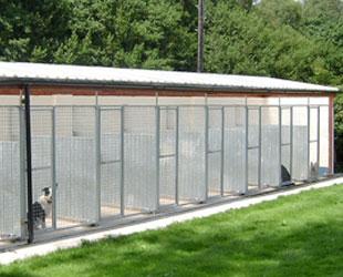 The Hollies Boarding Kennel