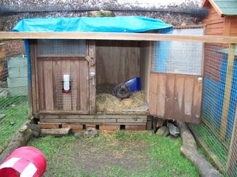 The Wellmans Dog Home Boarding Kennel