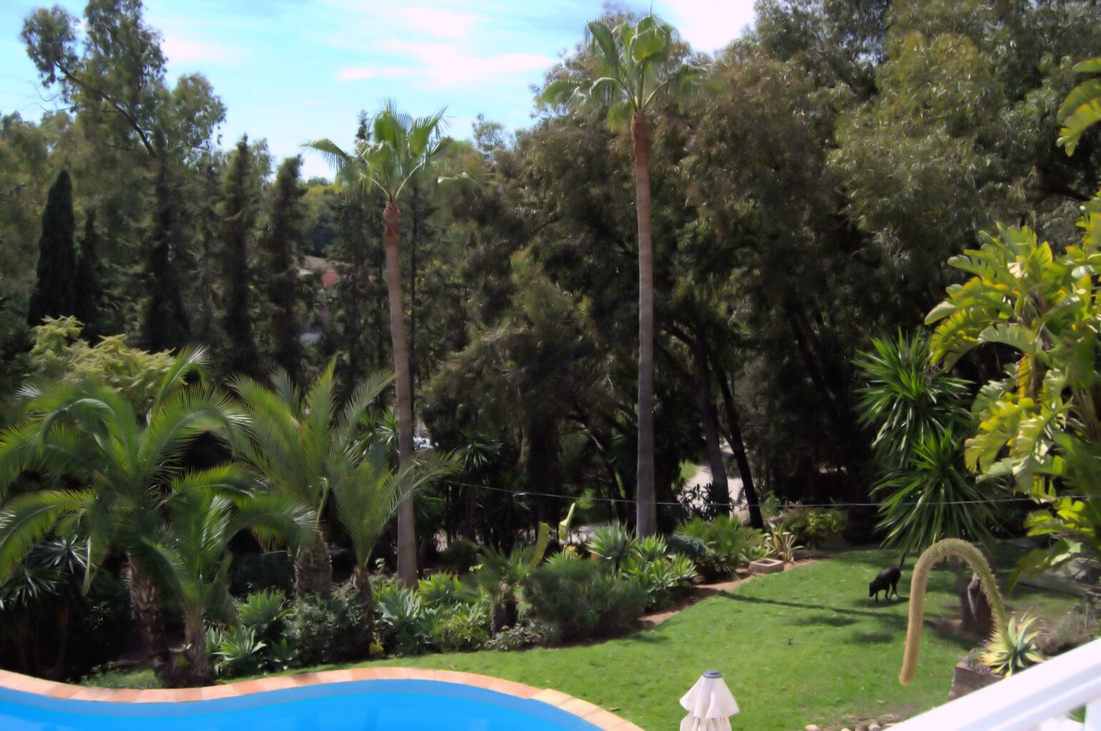 Residencia canina Tiny Dog