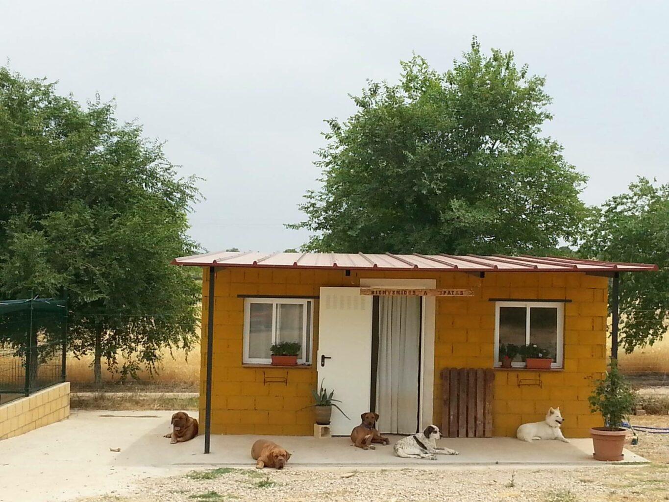 Residencia canina Tres Patas