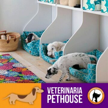 Hotel para perros Veterinaria Pet House