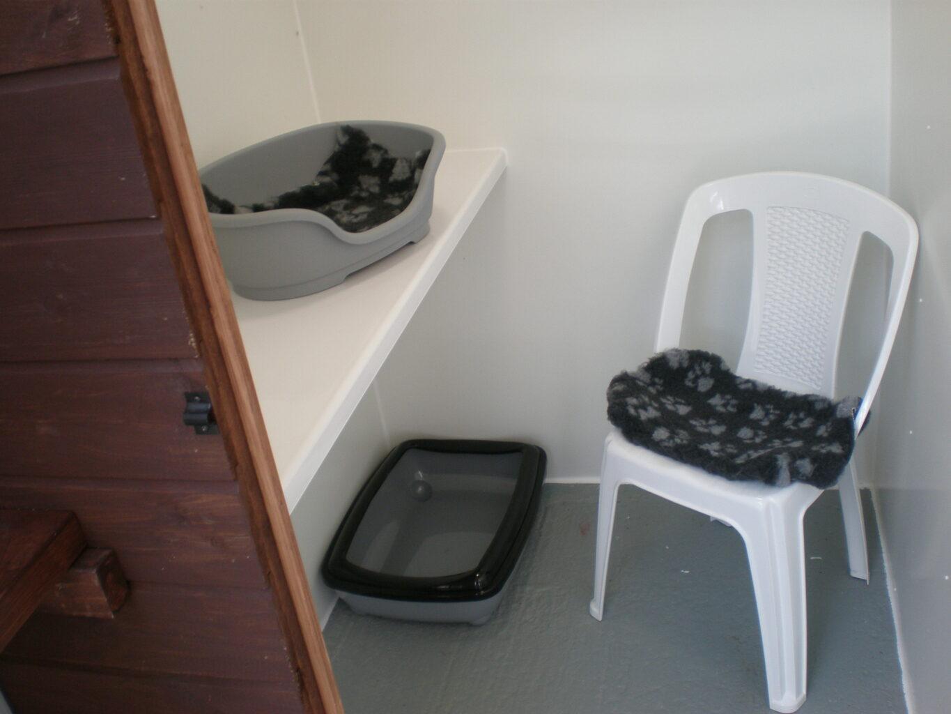 Wise Cat Hotel